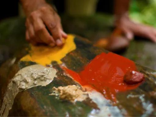 Cape Tribulation & Daintree Adventure