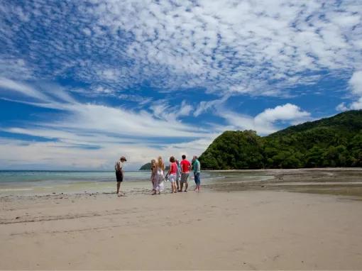 Cape Tribulation & Daintree Adventure