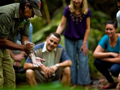 Cape Tribulation & Daintree Adventure