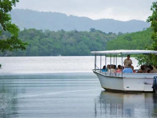 Cape Tribulation & Daintree Adventure