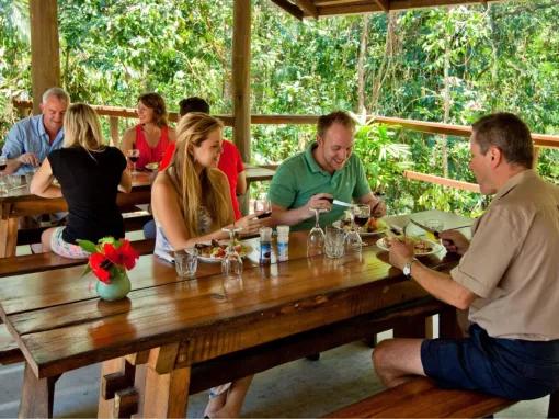 Cape Tribulation & Daintree Adventure