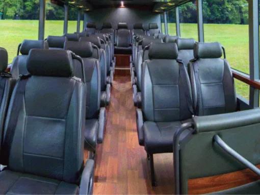 Cape Tribulation & Daintree Adventure from Port Douglas