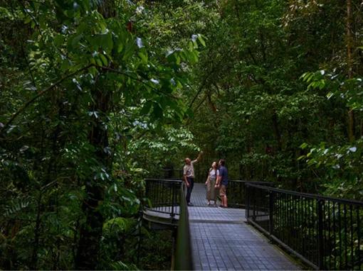 Cape Tribulation & Daintree Adventure from Port Douglas