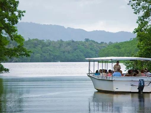 Cape Tribulation & Daintree Adventure from Port Douglas