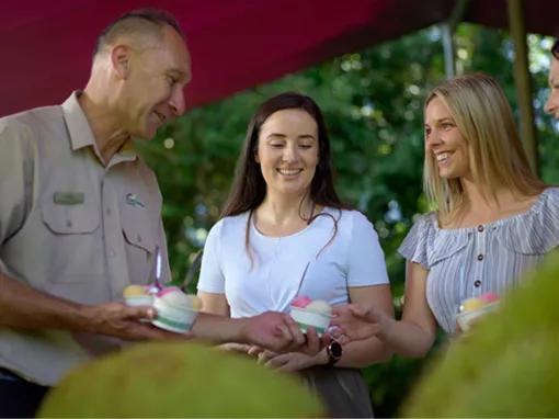 Cape Tribulation & Daintree Adventure from Port Douglas