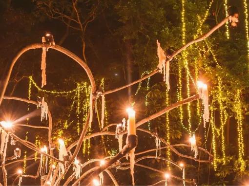 Flames of the Forest - Aboriginal Cultural Experience