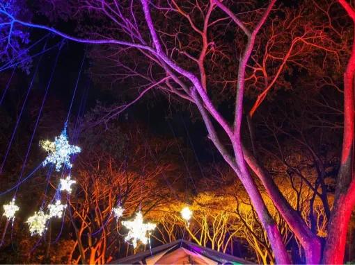 Flames of the Forest - Aboriginal Cultural Experience