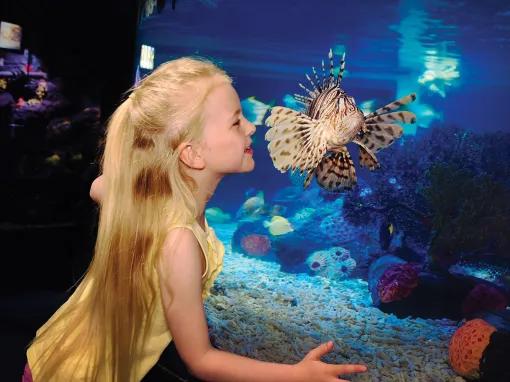 Girl with in front of aquarium at SEA LIFE Aquarium in California