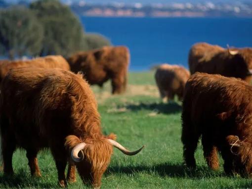 Melbourne Unlimited Attraction Pass