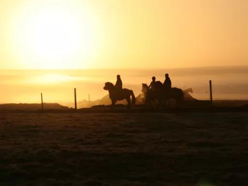 Horse Riding