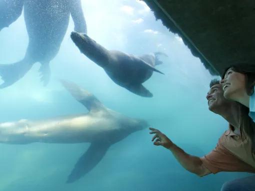 Aquarium of Pacific in Los Angeles