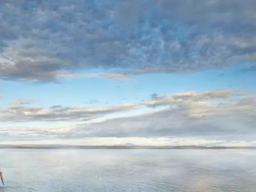 Golden Circle and Wellness