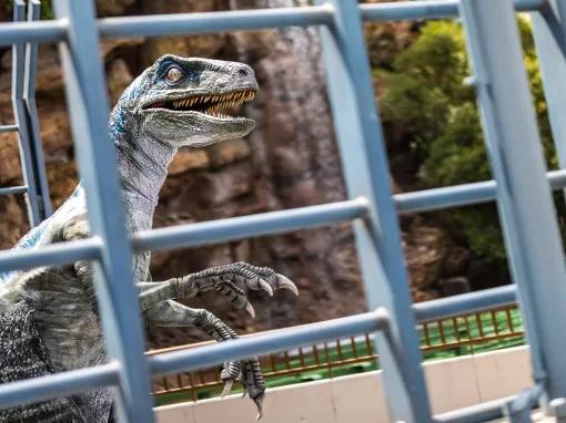 Dinosaur at Universal Studios Hollywood 