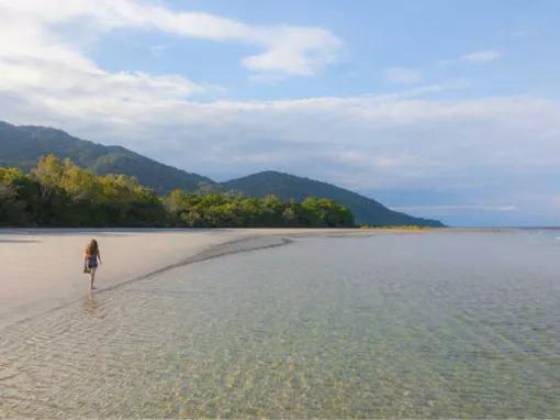 Cape Tribulation and Daintree Wilderness from Port Douglas