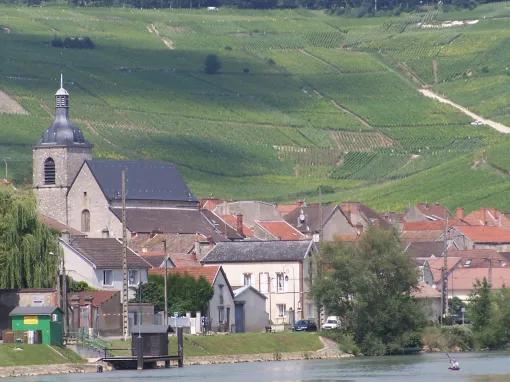 A Day in Champagne from Paris