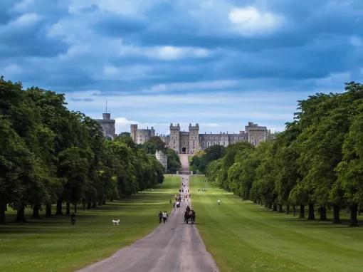 Windsor Discovery