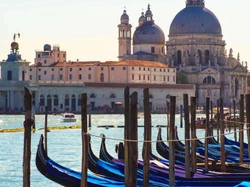 VIP Semi Private Venice Walking