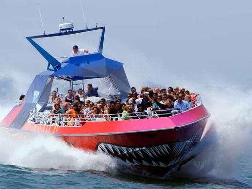 Codzilla Speedboat Thrill Ride
