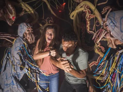 Howl-O-Scream at Busch Gardens Tampa Bay