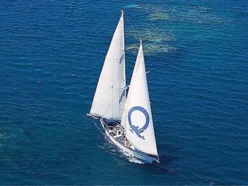 Ocean Free Sail to Green Island & Great Barrier Reef