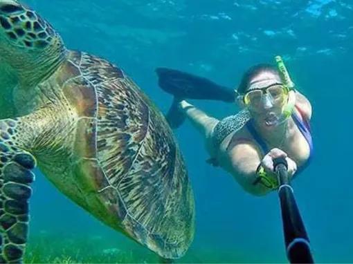 Ocean Free Sail to Green Island & Great Barrier Reef