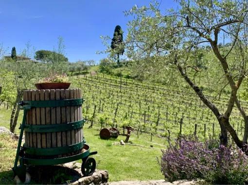 Chianti Tour: Wine Experience in Chianti Hills & Radda in Chianti from Florence