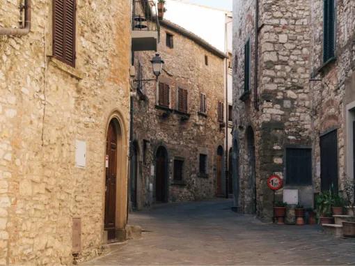 Chianti Tour: Wine Experience in Chianti Hills & Radda in Chianti from Florence