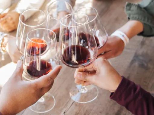 Chianti Tour: Wine Experience in Chianti Hills & Radda in Chianti from Florence