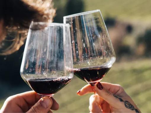 Chianti Tour: Wine Experience in Chianti Hills & Radda in Chianti from Florence