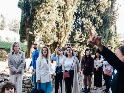 Chianti Tour: Wine Experience in Chianti Hills & Radda in Chianti from Florence