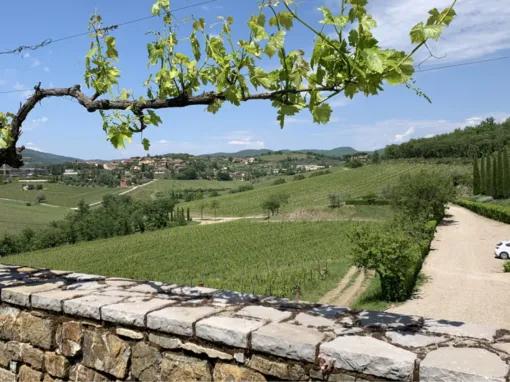 Chianti Tour: Wine Experience in Chianti Hills & Radda in Chianti from Florence