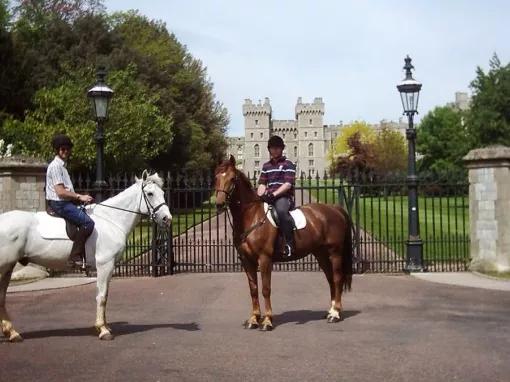 One Hour Horse Riding in Windsor Great Park Experience Voucher