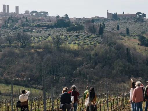 Tuscany Experience: Pisa, Siena, San Gimignano and Chianti from Florence