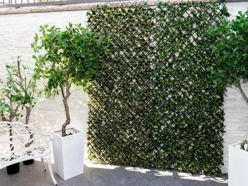 Rolls Royce Ultimate Bliss