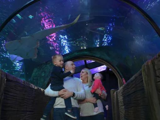 SEA LIFE Blackpool