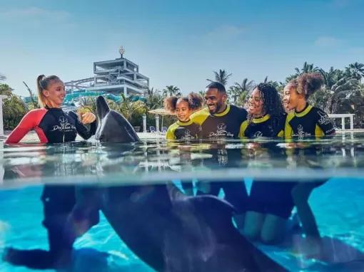 Dolphin-Encounter-at-Atlantis-Dubai