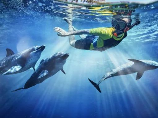 Dolphin-Experiences-at-AquaventureS-Atlas-Village