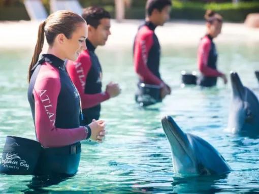 Dolphin-Experiences-at-AquaventureS-Atlas-Village
