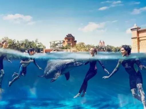 Dolphin-Swim-at-Atlantis-Dubai