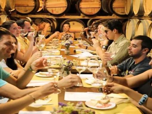 wine-tasting-with-local-produce