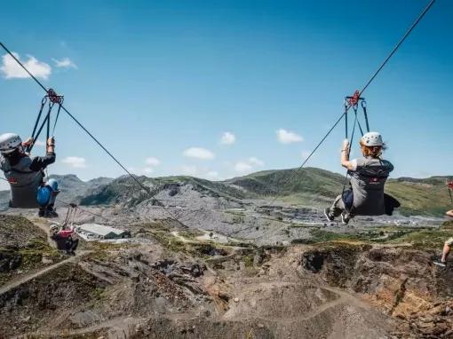 group-on-zipline