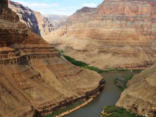 Formula-1-Las-Vegas- Grand-Celebration