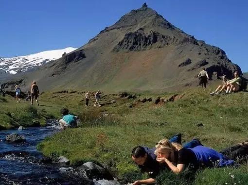 group-drinking-from-river