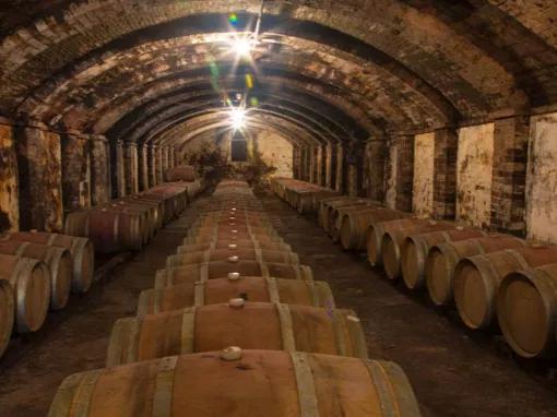 wine-cellar