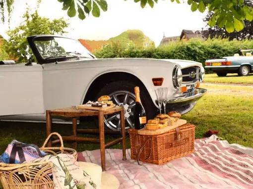 car-and-picnic