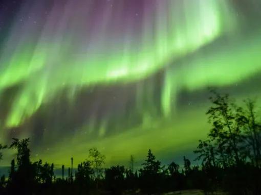 lights-from-the-ground