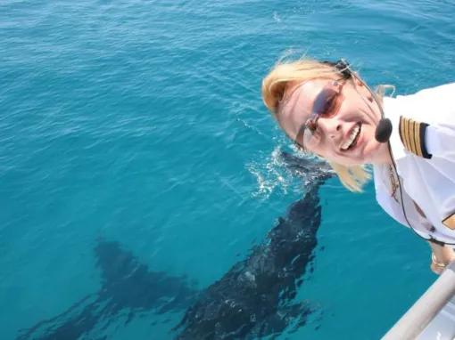 Whale Watch with Brisbane Transfers