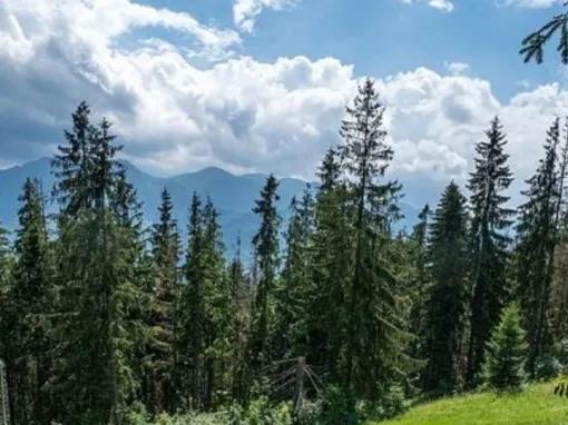 view-from-mountainside