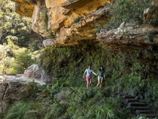 Blue-Mountains-Sunset-&-Wilderness-Tour