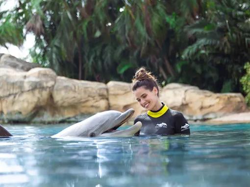 Woman interacting with a dolphin at Discovery Cove in Orlando
